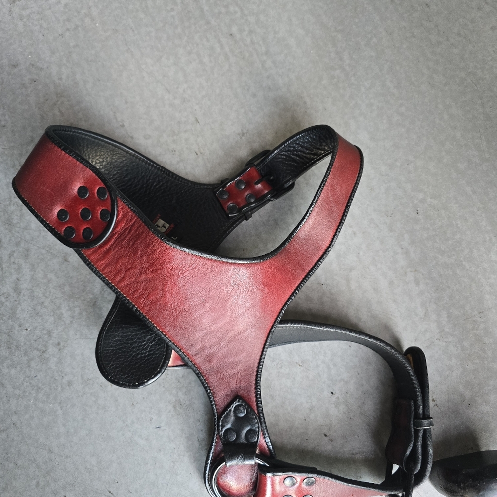 ROUGH TRADE Red Leather Harness - Picture 11 of 12